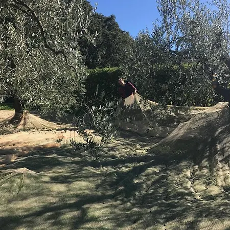 Podere Belvedere Willa Livorno